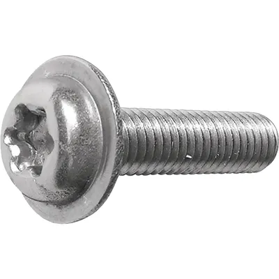 Șurub cap torx 4.8*20 mm 250 buc