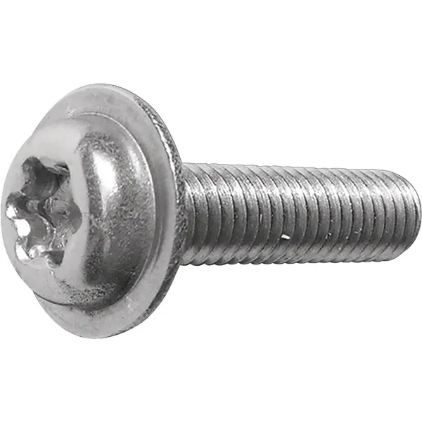 Wetterbest Șurub cap torx 4.8*20 mm 250 buc